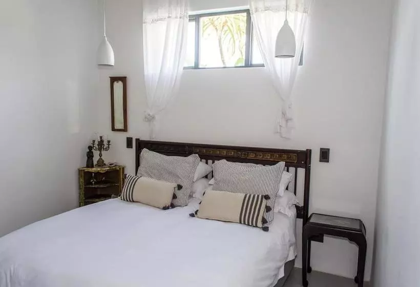 Aamiaismajoitus (B&B) Villa Palmera Load Shedding Free