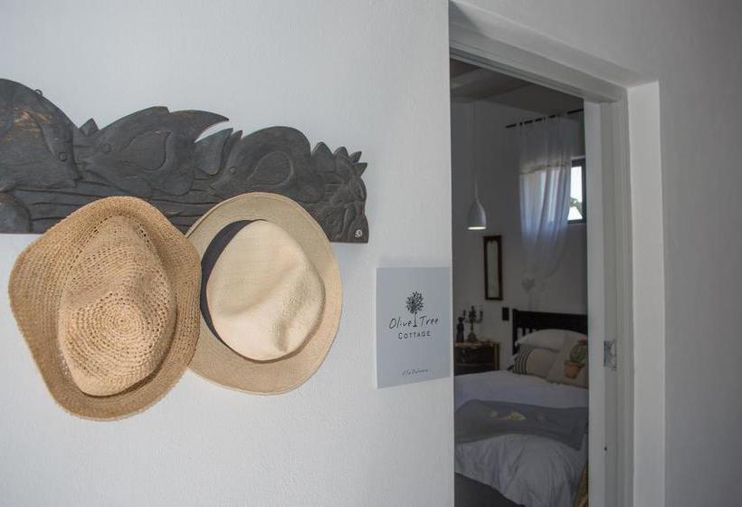 ベッドアンドブレックファースト Villa Palmera Load Shedding Free