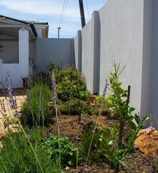 ベッドアンドブレックファースト Villa Palmera Load Shedding Free