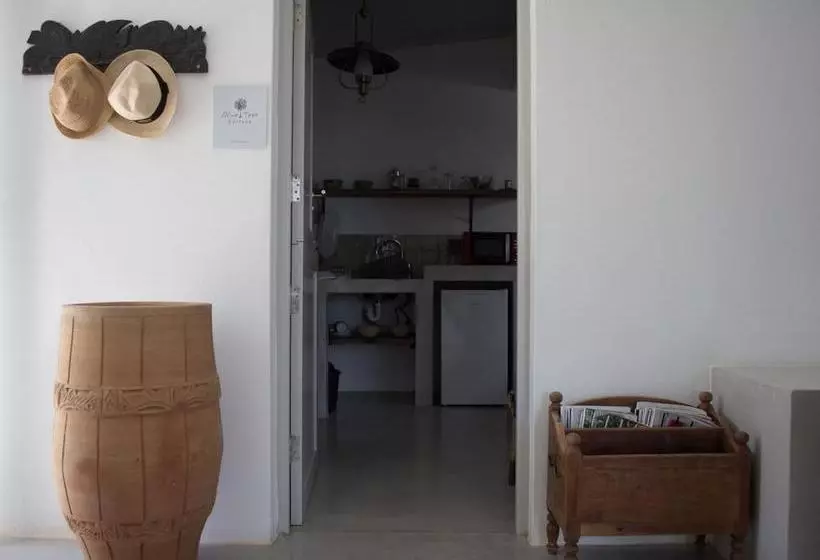 Aamiaismajoitus (B&B) Villa Palmera Load Shedding Free