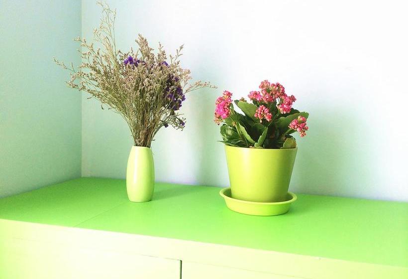 Downtown Center Youth Hostel