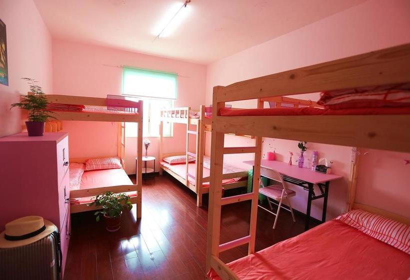 Downtown Center Youth Hostel