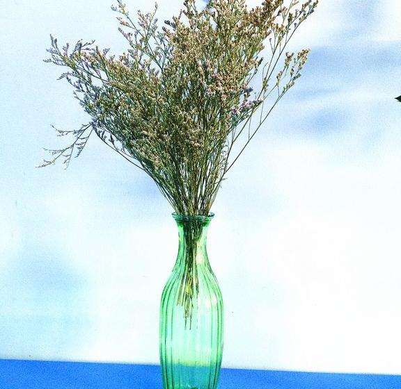 Downtown Center Youth Hostel