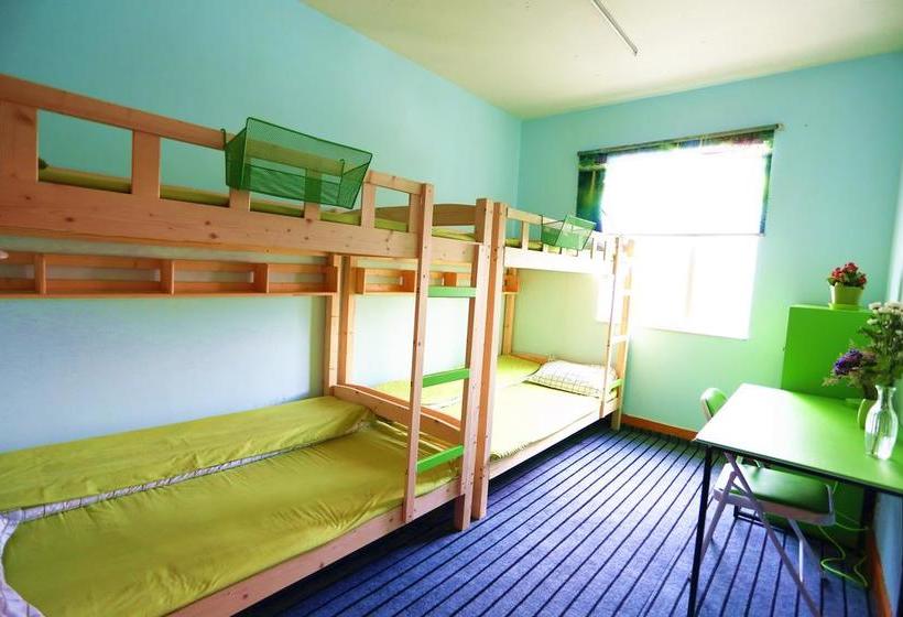 Downtown Center Youth Hostel