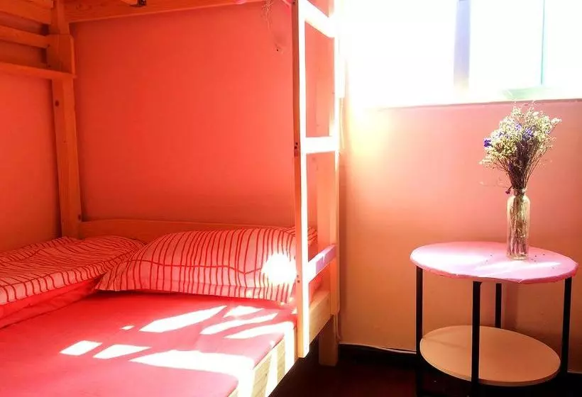 Downtown Center Youth Hostel