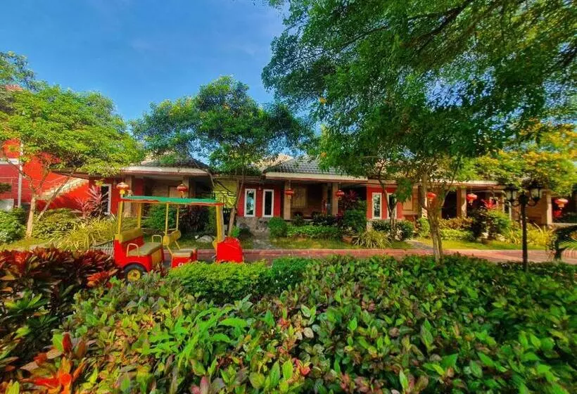 Dreampark Resort