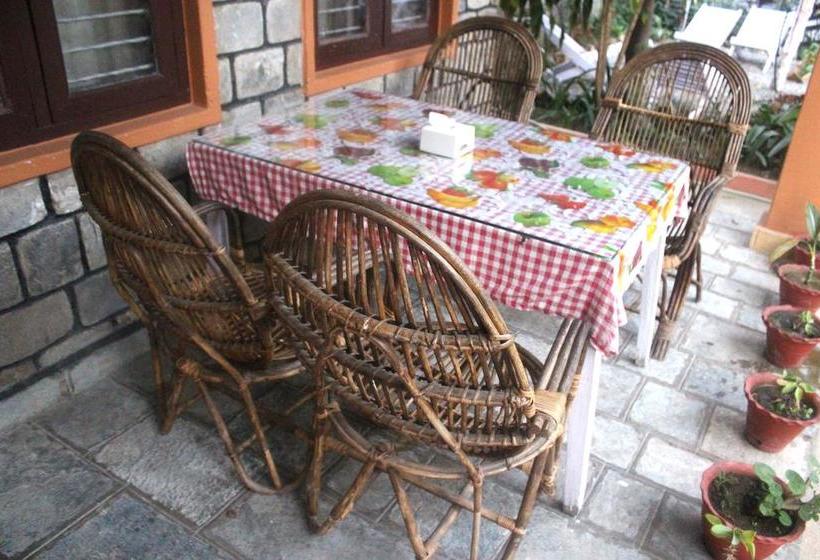 ホテル Alpine Villa