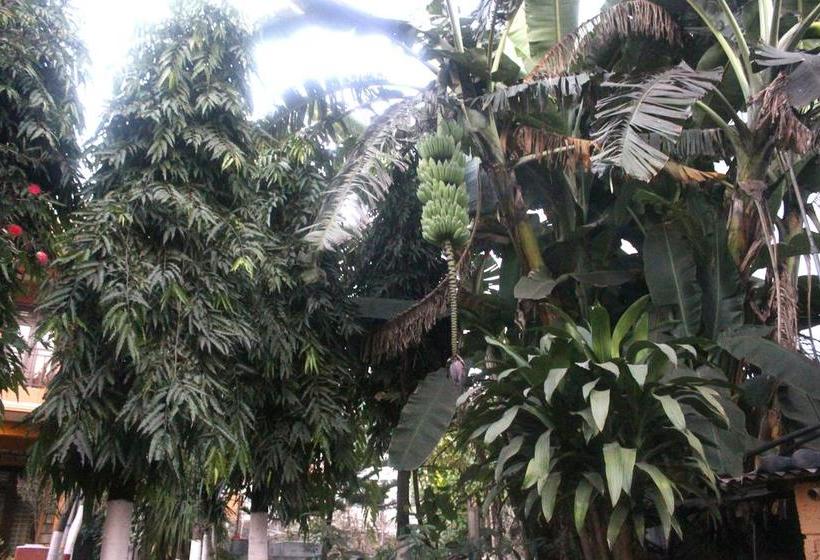 ホテル Alpine Villa