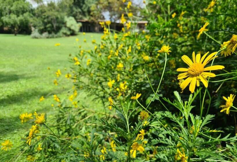 Hotel Amberhall Guesthouse