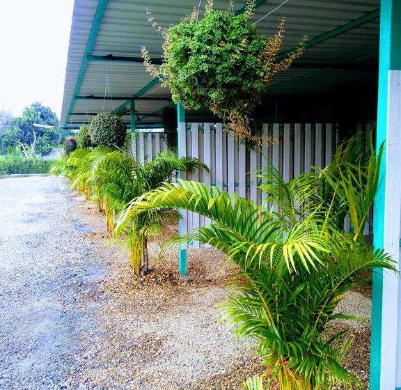 Отель Duang Dara Guesthouse