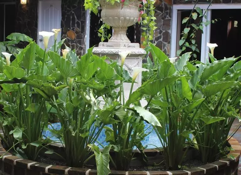 ホテル La Serrania