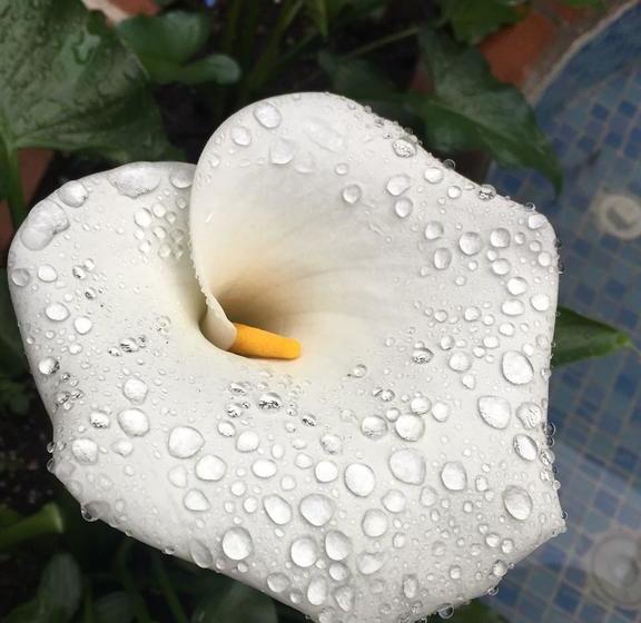 ホテル La Serrania