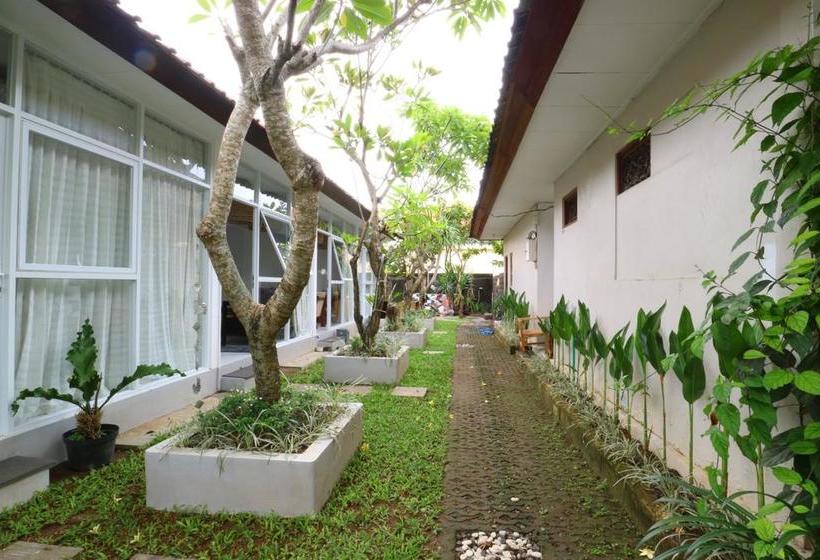 酒店 Omah Biu Canggu