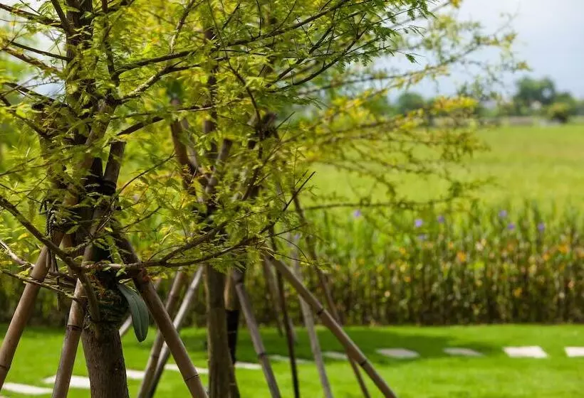 تختخواب و صبحانه Buluba Green Fields