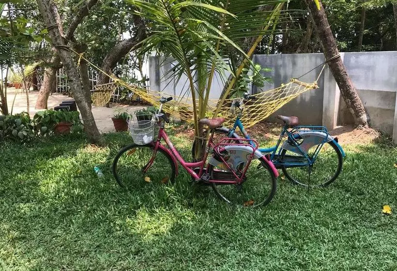 Aamiaismajoitus (B&B) Lakefront Beach Homes