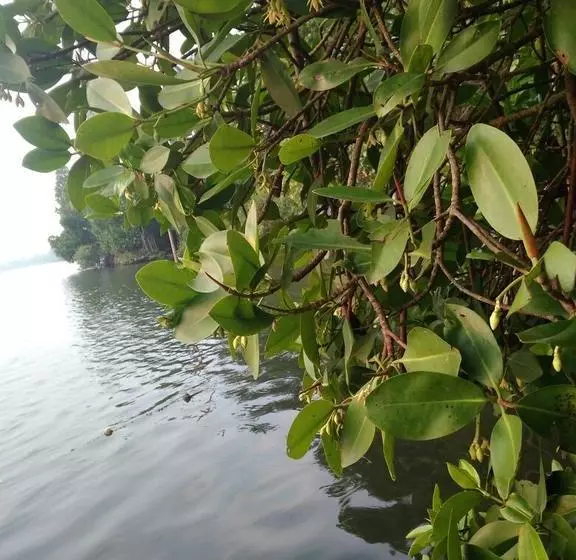 Aamiaismajoitus (B&B) Lakefront Beach Homes