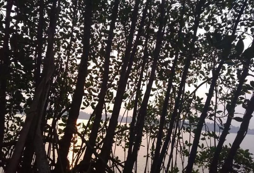 Aamiaismajoitus (B&B) Lakefront Beach Homes