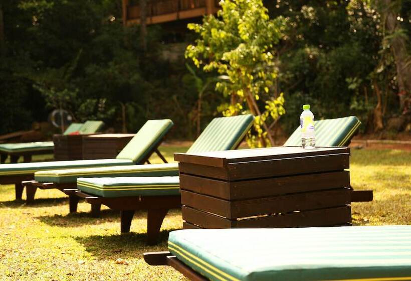 호텔 Jungle Village