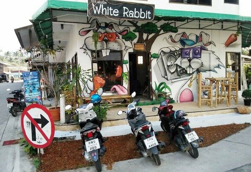 White Rabbit   Hostel