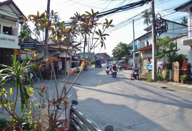 White Rabbit   Hostel