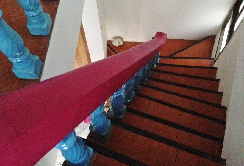 White Rabbit   Hostel