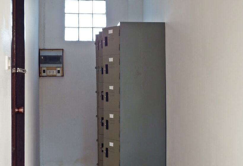 White Rabbit   Hostel