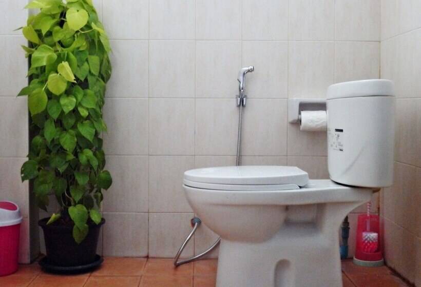 White Rabbit   Hostel