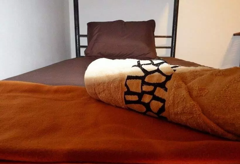 White Rabbit   Hostel
