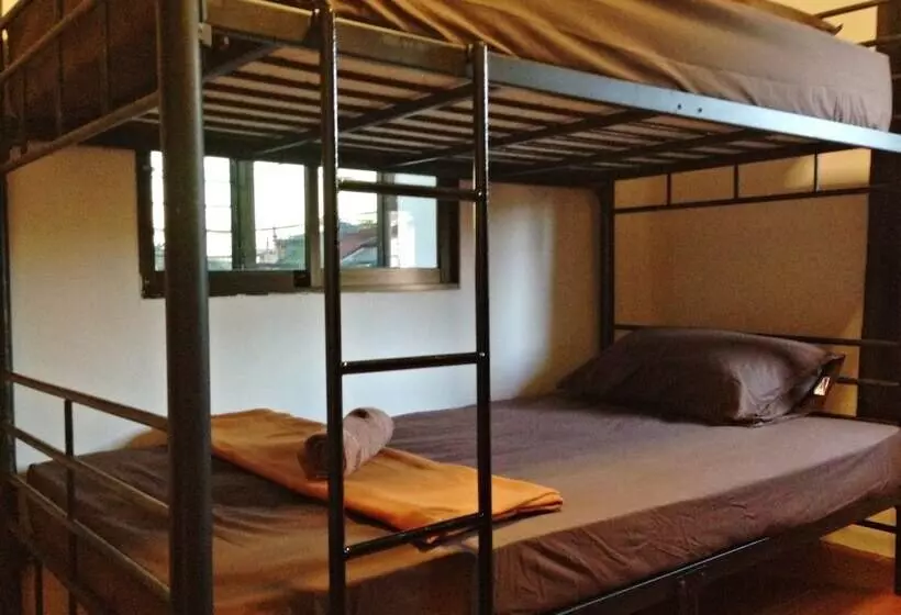 White Rabbit   Hostel