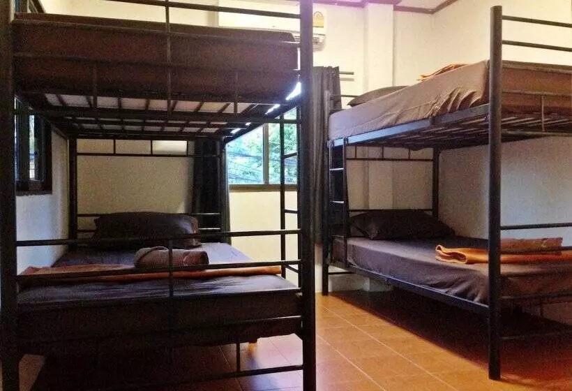 White Rabbit   Hostel