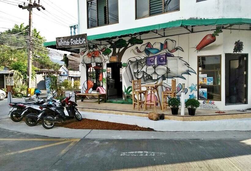 White Rabbit   Hostel