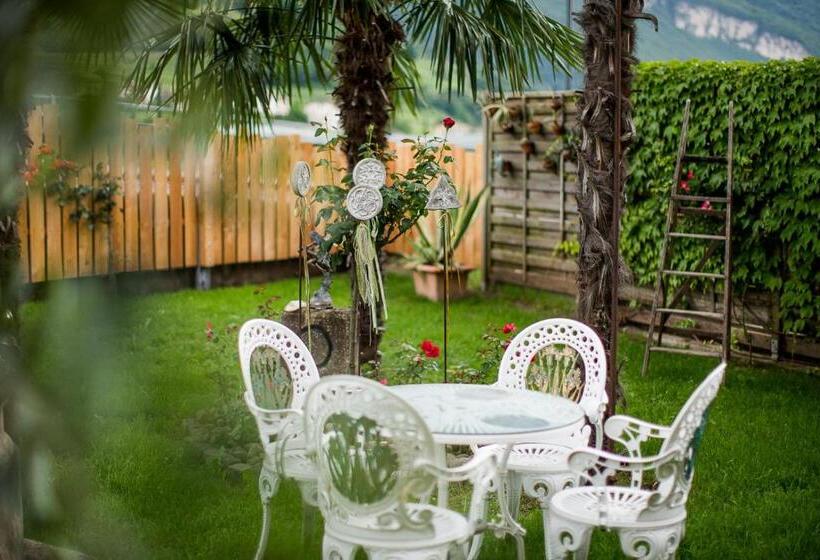 B&b Pizzeria Zur Traube