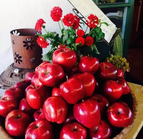 B&b Pizzeria Zur Traube