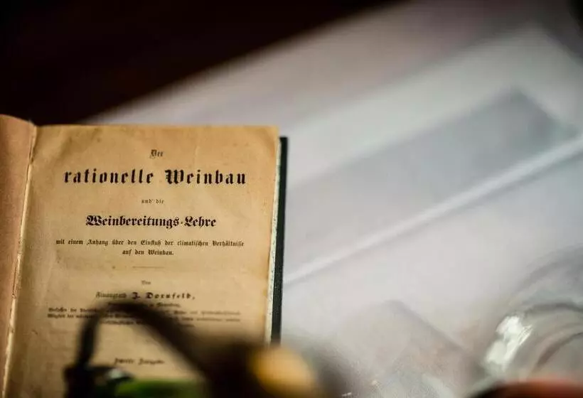 B&b Pizzeria Zur Traube