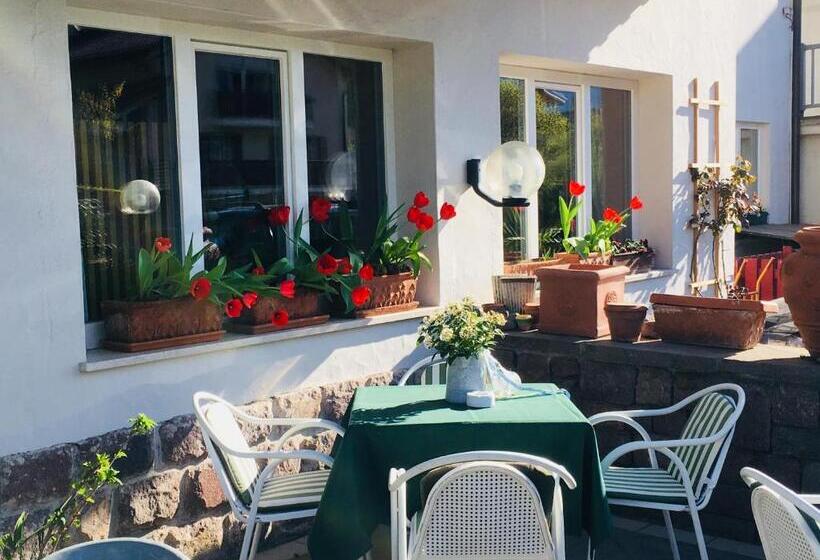 B&b Pizzeria Zur Traube