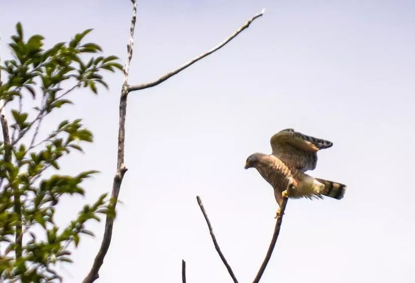 ベッドアンドブレックファースト Maison Bleue Suites