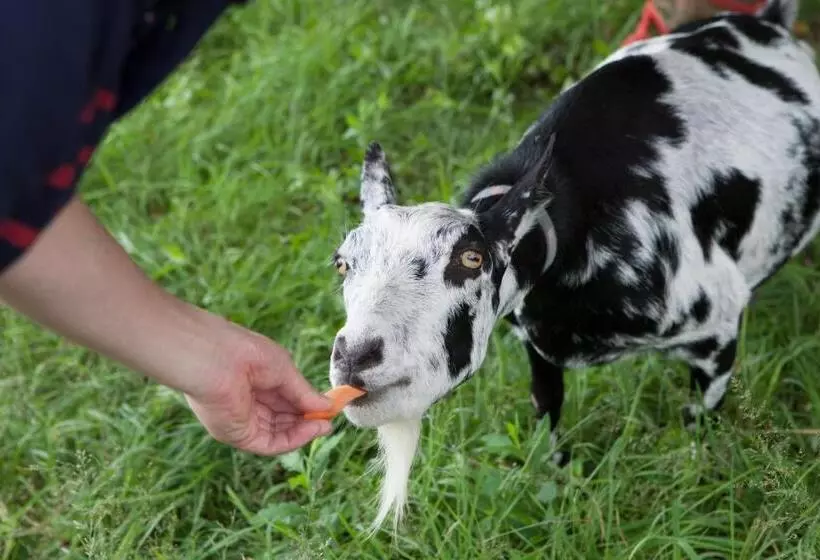 ホテル Aiwa No Mori