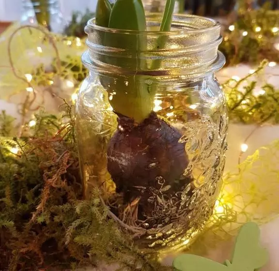 ホテル Garnì Posta