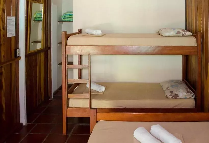 ホテル Pousada Renascer