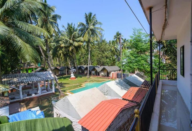 汽车旅馆 Casa Nobert