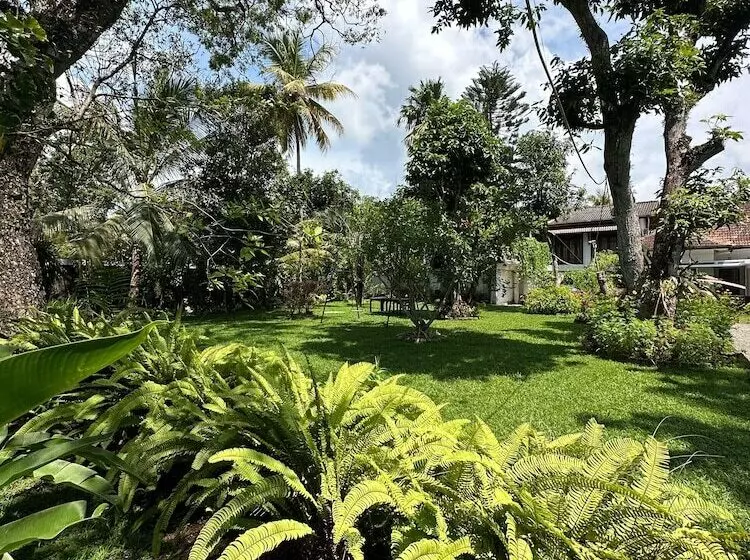 Aamiaismajoitus (B&B) Mango Tree Villa