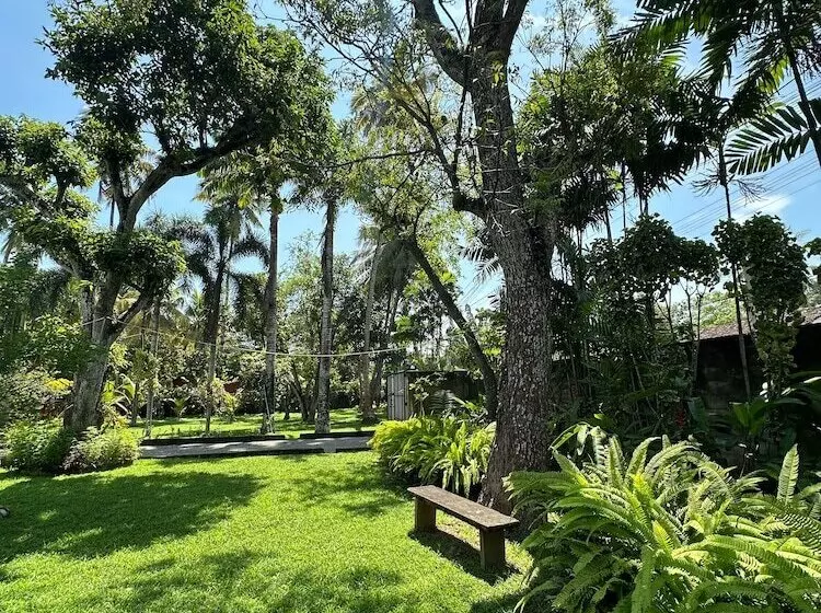 Aamiaismajoitus (B&B) Mango Tree Villa