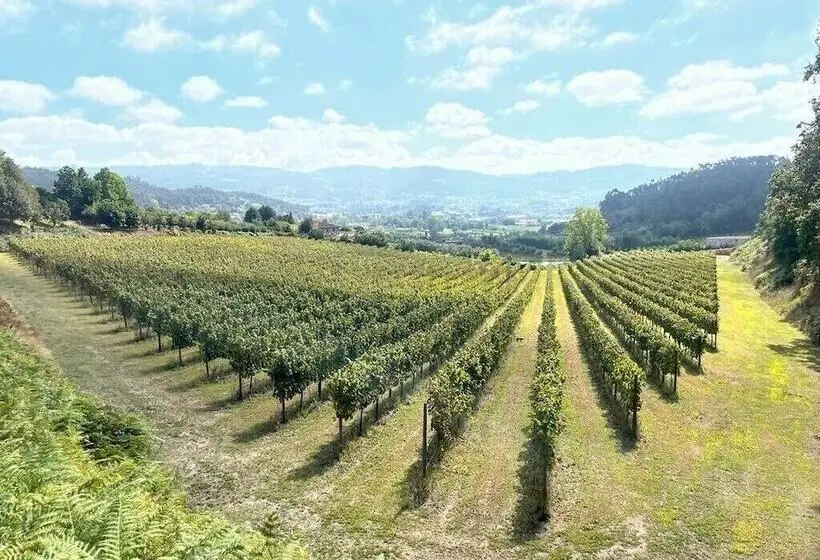 Quinta Picouto De Cima