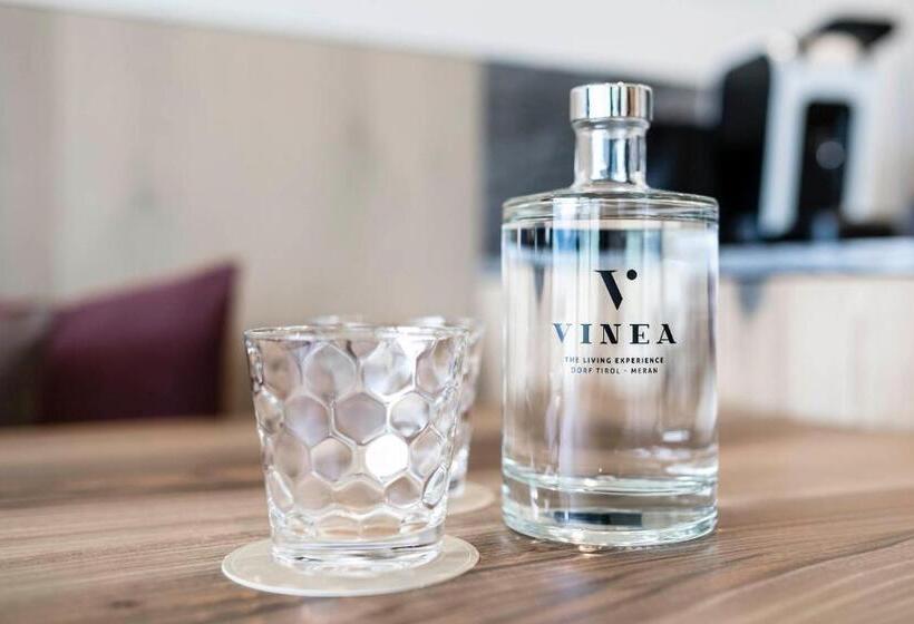 בית מלון כפרי Vinea  The Living Experience