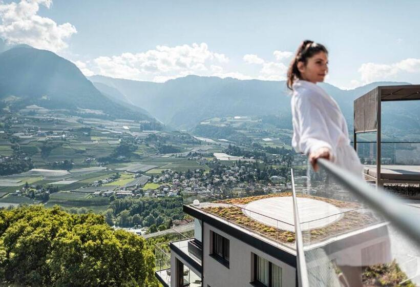 בית מלון כפרי Vinea  The Living Experience