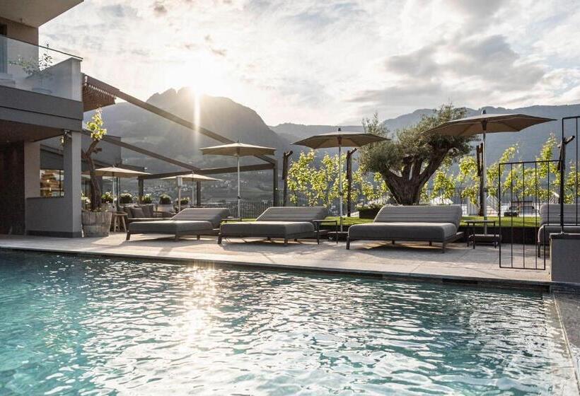 בית מלון כפרי Vinea  The Living Experience