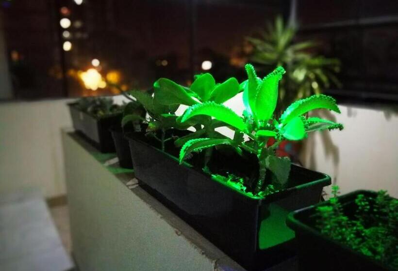 هاستل Guest House Jujuy