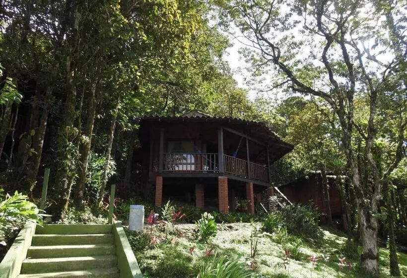 ユースホステル Heliconias Rainforest Lodge