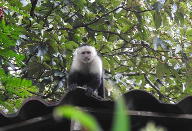 הוסטל Heliconias Rainforest Lodge