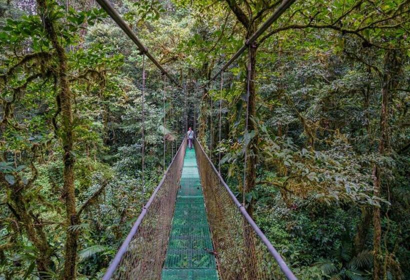 הוסטל Heliconias Rainforest Lodge